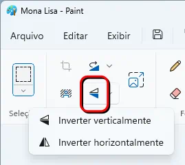 Onde fica o botão inverter no MS Paint (retângulo vermelho).