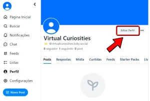 O botão "Editar Perfil" na página de perfil no Bluesky, com uma seta vermelha apontando para ele.